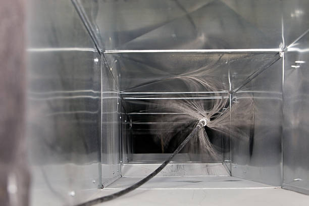 Best Professional Duct Cleaning Services  in Estill, SC