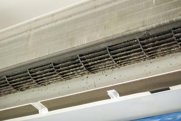 Best Air Duct Cleaning Near Me  in Estill, SC
